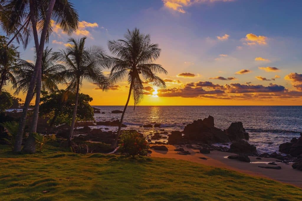 une-vue-imprenable-sur-le-fabuleux-parc-national-corcovado-au-costa-rica-ou-la-nature-est-reine