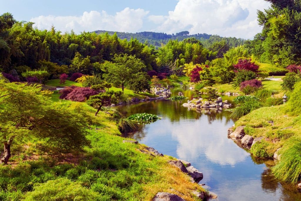 Découvrez Natural'Parc, un lieu où l'aventure et la nature se rencontrent pour offrir une expérience inoubliable. Parcourez des sentiers pittoresques, défiez vos limites avec des activités en plein air et laissez-vous émerveiller par la beauté de la nature environnante. Une escapade parfaite pour les amoureux de la nature et les amateurs de sensations fortes !